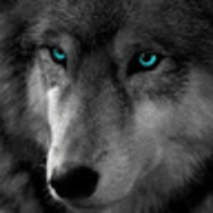 Meet your Posher, Randy joe